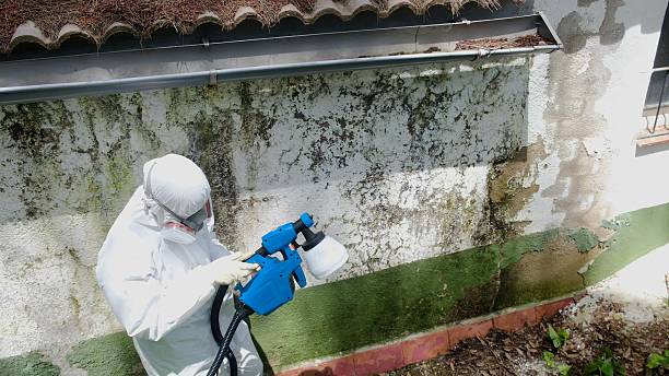 Trusted Mold Testing service in Dover, PA - Cheap Mold Removal